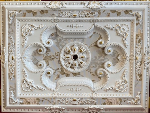 Palace Ceiling Rose Rectangular Polymer White Gold 90x120cm - FDD90120-BA